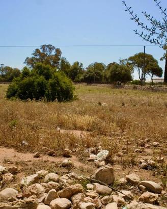 Terreno di 17085 m² a Santa Croce Camerina
