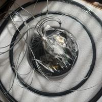 Lampada a soffitto BRIMETI 45W LED con telecoma