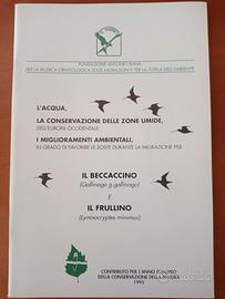 Uccelli Bccaccino, caccia,ornitologia
