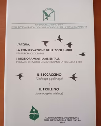 Uccelli Bccaccino, caccia,ornitologia