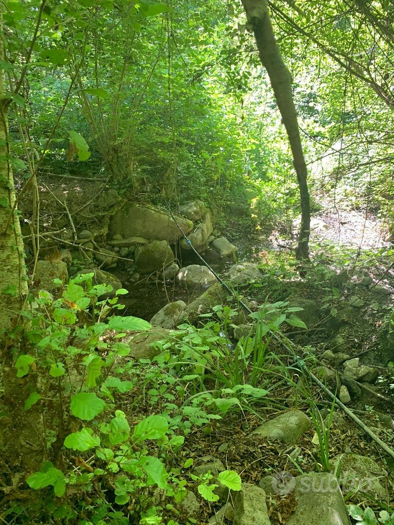 Terreno 9.280 mq con sorgenti Ceriana (IM) - Vista 2
