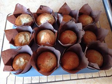 Baby sitter diplomata