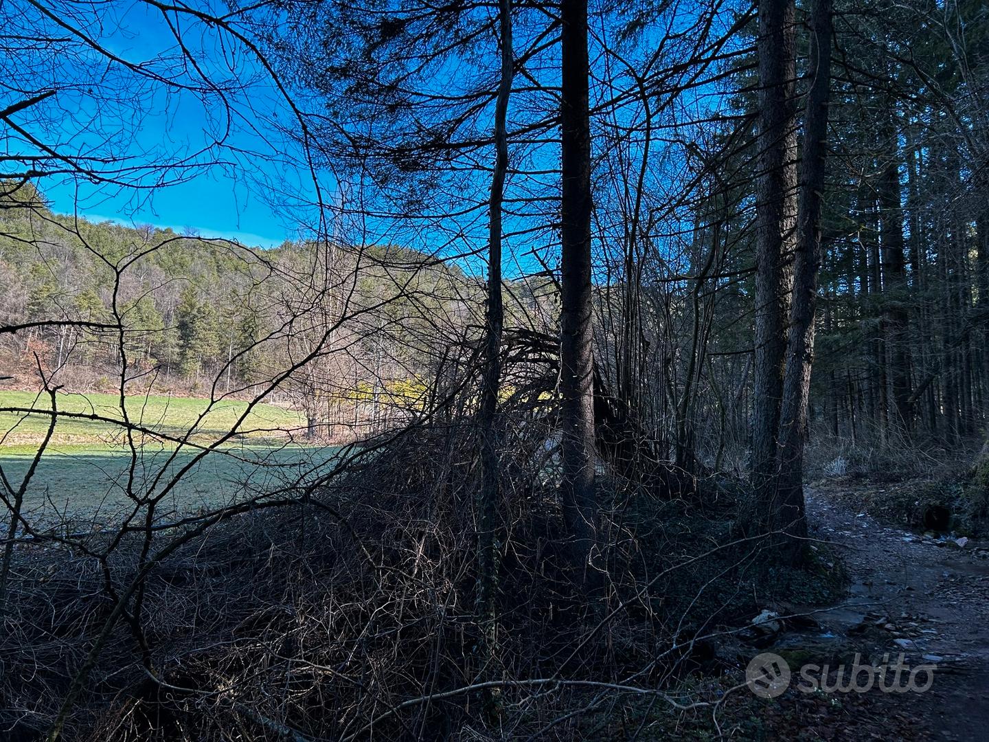 Terreno agricolo tra Tres e Prio - Vista 5