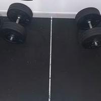 Manubri regolabili a vite - Palestra