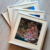 Set di 5 cornici in alluminio