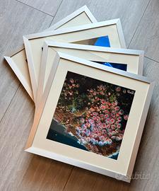 Set di 5 cornici in alluminio