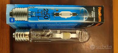 Radium  hri-t 250 w /d pro