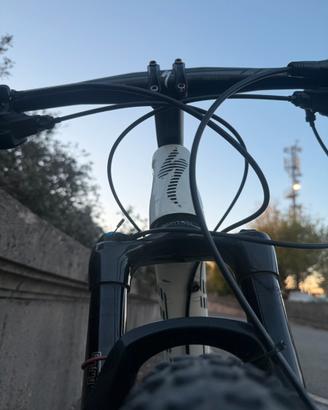 Mtb 29 specialized full suspenion in carbonio