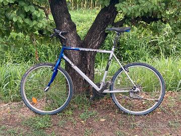 Bicicletta montan byke