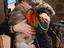 Immagine 5