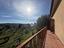 Immagine 7