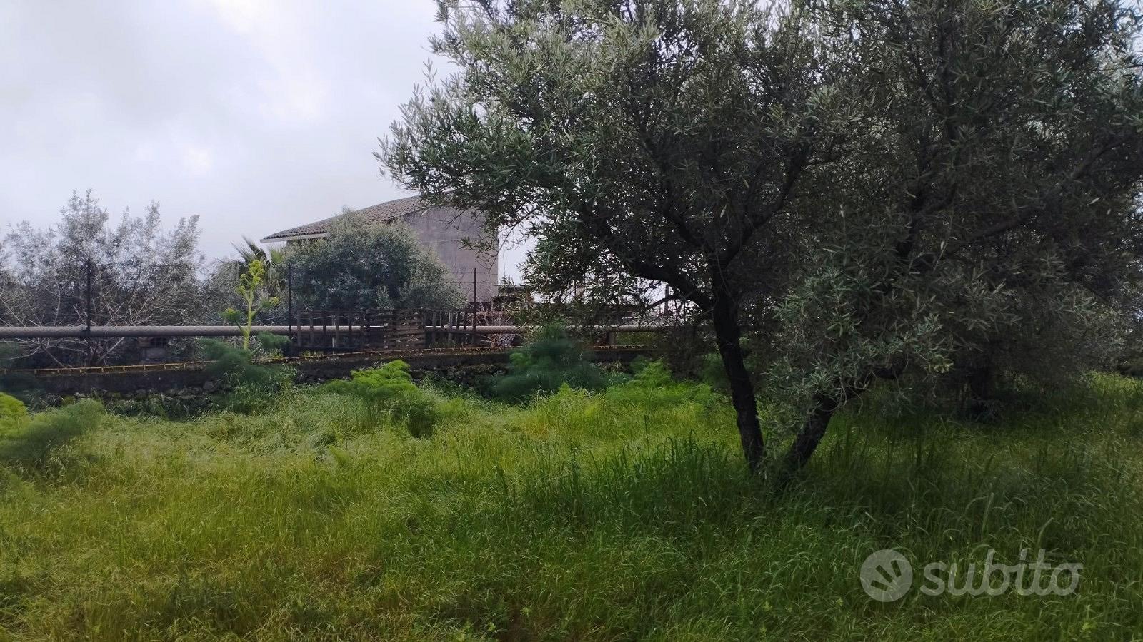 Terreno a San G.Galermo in via della Misericordia - Vista 2