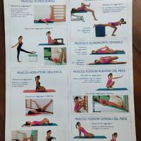 TRE POSTER "BACK SCHOOL" - GINNASTICA POSTURALE
