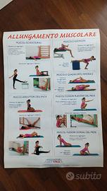 TRE POSTER "BACK SCHOOL" - GINNASTICA POSTURALE