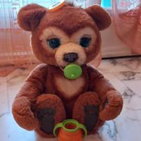 Il mio orsetto curioso 