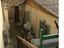 Immagine 12