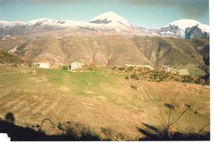 Vendita podere valdonica indicato per agriturismo