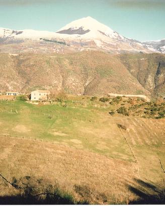 Vendita podere valdonica indicato per agriturismo