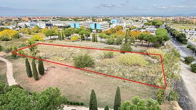 TER. AGRICOLO A ROMA