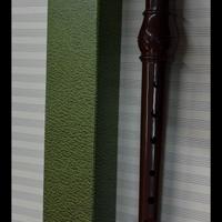 10 Flauti Dolce nuovi