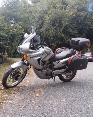 HONDA TRANSALP 650 XL