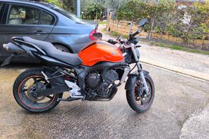 Yamaha fz6 s1