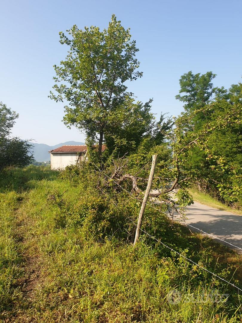Terreno 6 ettari con casetta - Vista 2