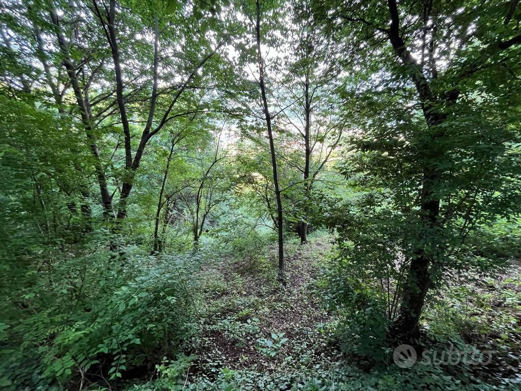Immobile in asta di 1554 m² a Valdagno - Vista 2
