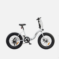 Bicicletta pieghevole