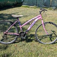 bicicletta Frejus donna 24