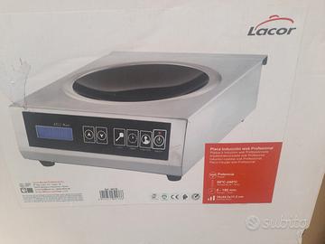 PIASTRA E PENTOLA WOK PROFESSIONALI