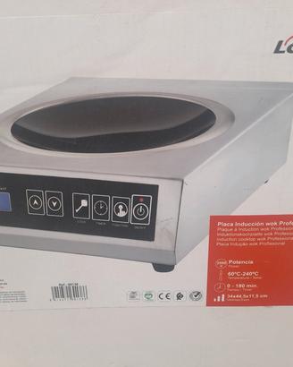 PIASTRA E PENTOLA WOK PROFESSIONALI