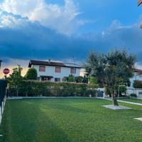 Manutenzione Prato e siepi. Giardiniere