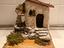 Immagine 6