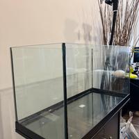 Acquario askoll ambiente