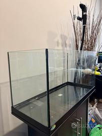 Acquario askoll ambiente