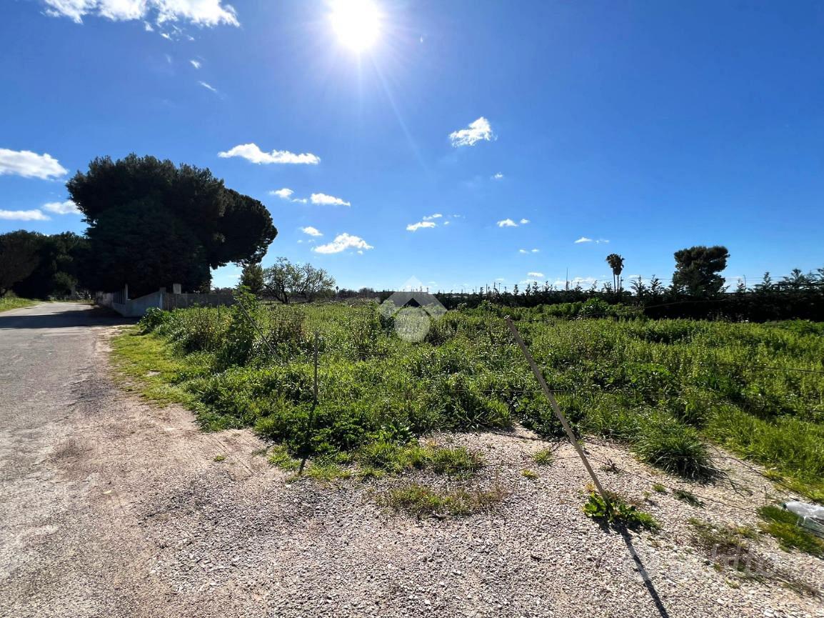 TER. RESIDENZIALE A MESAGNE - Vista 5