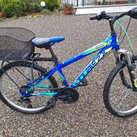 Bicicletta ragazzo 24