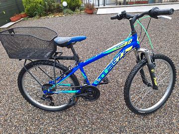 Bicicletta ragazzo 24