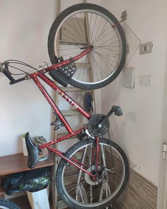 Mountain bike donna misura 26"