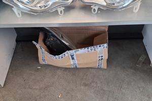 coppia fari anteriori smart fortwo 450