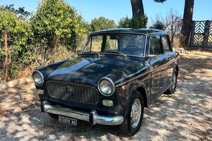 Fiat 1100 d 1964