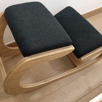 Sedia Ergonomica Posturale