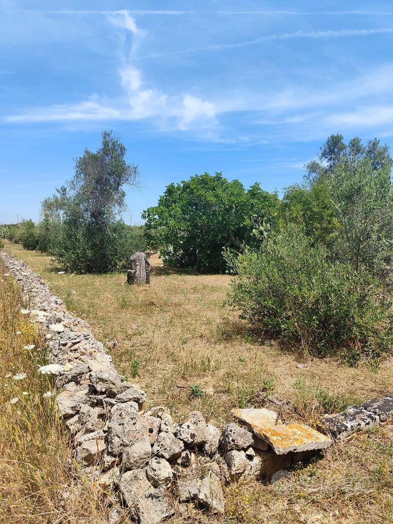Terreno agricolo - Vista 3
