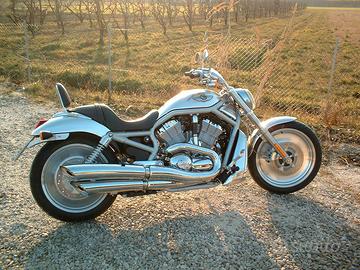 Harley Davidson V-Rod 2003 Centenario