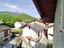 Immagine 25