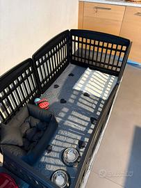 Recinto Cani o Animali (cuccioli)