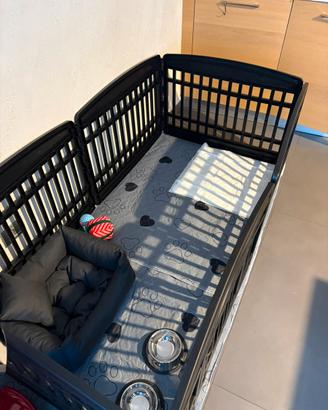 Recinto Cani o Animali (cuccioli)