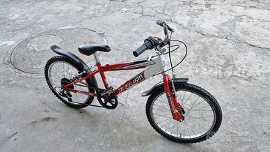 Bici da bambino 20 pollici diablo