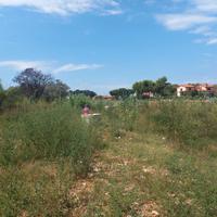 Terreno agricolo nel quartiere Collinaia (LI)